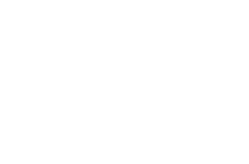Logo Gavanna Magazzini
